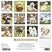 Just Goldendoodles 2020 Wall Calendar (Dog Breed Calendar)