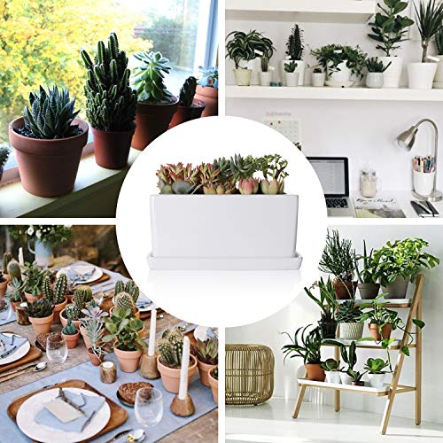 Greenaholics Succulent Plant Pot - 10Inch Rectangle Ceramic Planter with Saucer, Window Box, for Small Plant, White