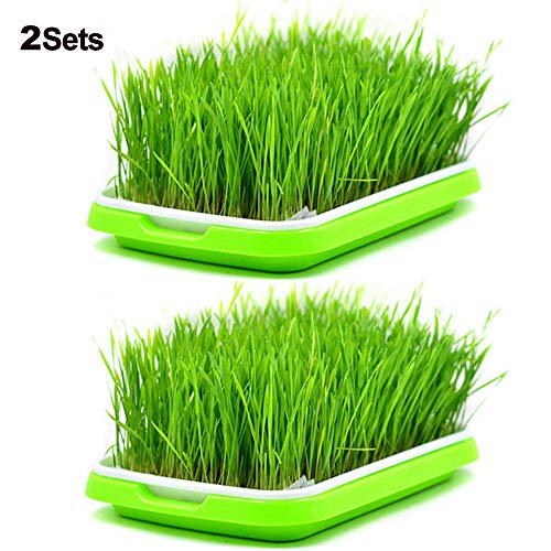 2 Sets Sprouter Tray BPA Free PP Soil-Free Densely Small Hole Healthy Wheatgrass Grower 13.4x9.84x1.77inch - Thumbnail 6
