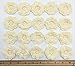 PEPPERLONELY Brand 20PC Cream 8 Petals 2 Inch Crocheted Flower Appliques Embellishments