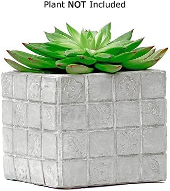 Succulent Planter / Cactus Planter. 4.5 Inch Gray Cement Flower Pot Container with Square Pattern - by TERRARIUMS FOR SALE