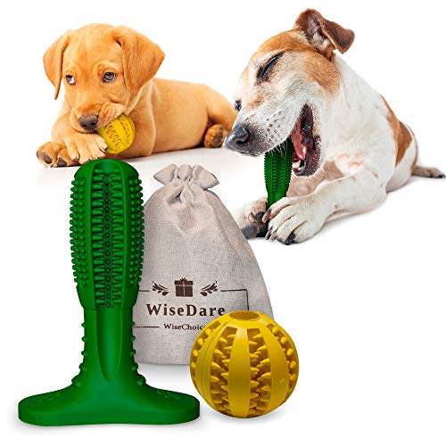 Dog Toothbrush Stick and Treat Ball - 2 Pack Dog Tooth Cleaning and Ball Chew Toys for Small Medium and Large Dogs Oral Dental Care Massager Brush Doggy Bite Resistant Rubber Ball Food Dispenser