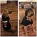 EXPAWLORER Dog Hoodies- Fall Soft and Warm Dog Sweatshirt with Leash Hole, Winter Autumn Fleece Pet Clothes with Bitches Love ME Print for Puppy,Cat, Small Medium Large Dogs
