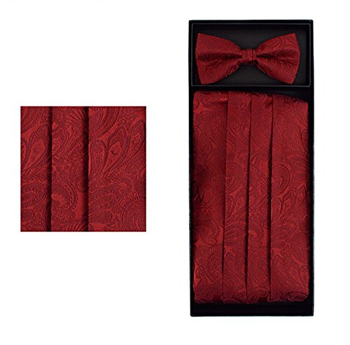 Men's Burgundy Red Paisley Holiday Banded Formal Bow Tie & Cummerbund Set