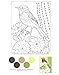 Birds at Home Coloring Book: 50 State Birds and Flowers (Design Originals) From Alabama's Camellia to Wyoming's Meadowlark with 24 Removable Cards, Common & Scientific Names, and 12 Inspiring Examples