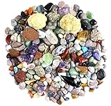 Dancing Bear Rock & Mineral Collection Activity Kit (200 Piece Set) with Geodes, Real Shark Teeth Fossils, Arrowheads, Crystals, Gemstones, Treasure Hunt ID Sheet, STEM Science Education, Made in USA