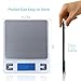 Dapai Mini Digital Kitchen Scale, Multifunction Food Scale, 0.1g-3kg, Tare & PCS Functions, Back-Lit LCD Display, Stainless Steel, Batteries Included (Silver)