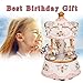 LOVE FOR YOU Gift Wrapped Music Box Carousel Horse Unicorn Musical Merry-Go-Round for Girls Women Kids Sister Niece Daughter Mom Granddaughter Grandma Birthday Mothers Day Present