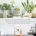 Xiaomi Moisture Mter Light Soil Testing Kit For Gardens International version