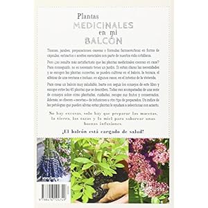 Plantas medicinales en mi balcï¿½n