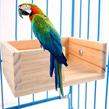Pet Bird Perch Parakeet Parrot Stand Platform Food Feeder Corner Desk Small Animal Bird Parakeet Playground Stands for Gerbil Hamster Budgie Cockatiel Parrot Rat Parakeet Cage Stands Accessories Toys
