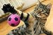 BCQLI Foam Toy Ball for Cats is an Ideal Choice for Teeth Grinding and Provides Great Companionship