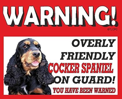 cocker spaniel merchandise