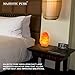 Majestic Pure Himalayan Salt Lamp - Natural Pink Salt Rock Lamp, Hand Carved, Wooden Base, Brightness Dimmer, 3 Bulbs, UL-Listed Cord and Gift Box, 8-11 lbs