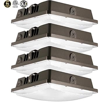 LED Canopy Light 80W,ETLus-Listed and DLC-Qualified,5000K Daylight White, 9600Lumen, 120-277VAC,175-450W MH/HPS/HID Replacement, IP65 Waterproof and Outdoor Rated, 5 Years Warranty,4Pack
