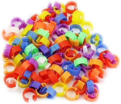 Qupida 100 Pcs Chicken/Hen/Duck/Pigeon rings Colorful foot ring Parrot Clip Rings Feeding Tools