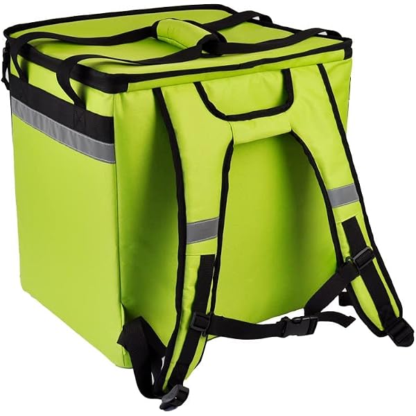 skip the dishes delivery bags for sale