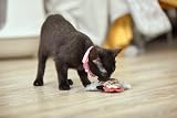 Petface Refillable Catnip Plush Cockerel Cat Toy Soft Durable Kitten Toy view 6