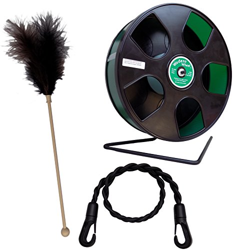 Sugar Glider Toy Pack - Feather, Wodent Wheel, Rope Toy by Suncoast Sugar Gliders