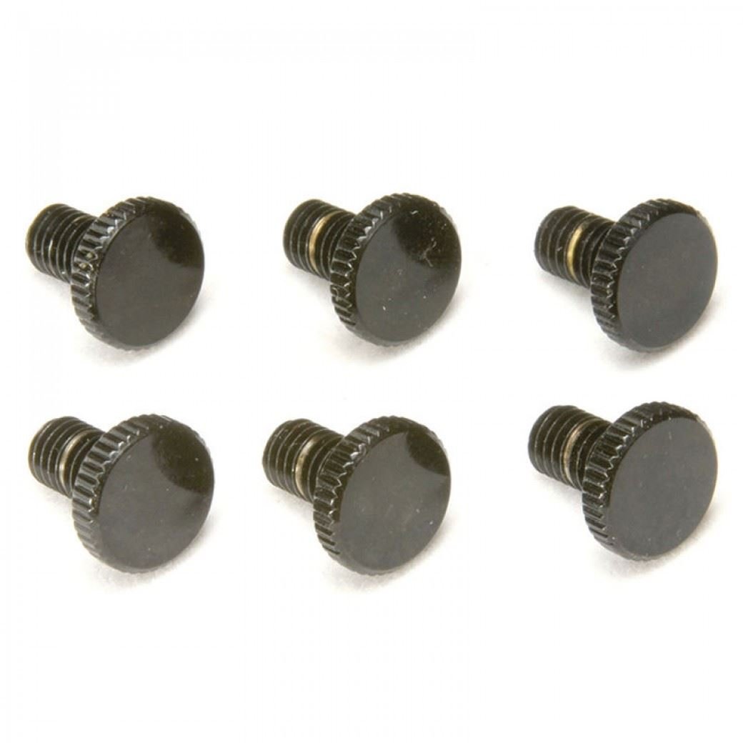 FLOYD ROSE TUNING SCREW