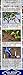 BirdBlock 602, Protective Mesh Covering, Bird Protection, 14’ X 45’, Black