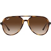 Ray-Ban unisex Rb4376 Aviator Sunglasses