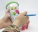 DCI Color Joy Adult Coloring Products, I Am Not A Paper Cup, Custom Travel Coffee Mug, Green Lid, 12oz Capacity, Flowers Design, White, Ceramic, Spill-Proof