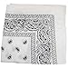 Mechaly Paisley Polyester Unisex Bandanas - 12 Pack - Dozen Wholesale (White)