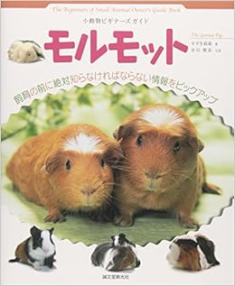 モルモット 小動物ビギナーズガイド すずき 莉萌 本 通販 Amazon