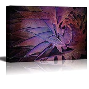 A Monochrome View of an Up Close Flower - Canvas Art Home Art - 12x18 inches