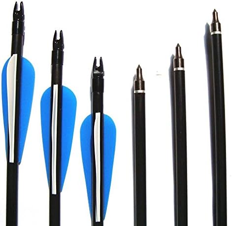 Fay Outdoor Sport 12 Pack Hunting Arrows Archery Fiberglass Arrow with 100 Grain Heads for Compound Bows Black