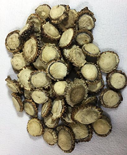 ANTLER MAN® Deer Antler Crown / Burr - Arts Crafts Jewelry - Sold EACH