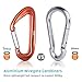 iSPECLE Hammock Straps, 9 Feet Long Tree Strap, Set with 2 Strong Carabiners