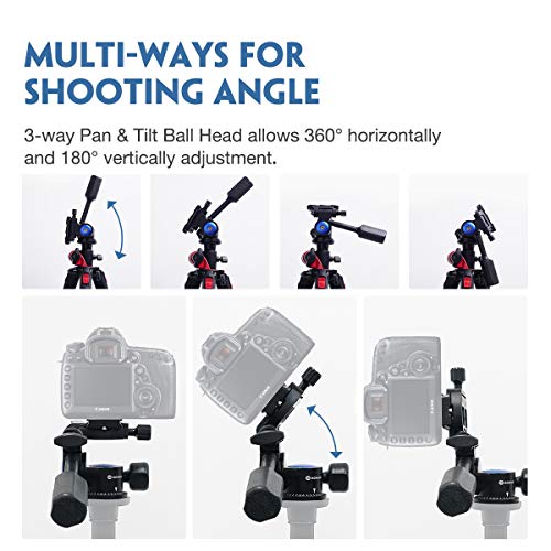 Moman Tripod Fluid Drag Pan Head with Handle and 1/4 Quick Release, Lightweight 3-Ways Panning Ball Head with 22 lb Payload for Tripod Monopod, Slider, DSLR Cameras, Camcorder and Light Stands