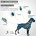 Fedciory Flea and Tick Prevention Collar for Dogs Up to 8 Months Protection Hypoallergenic and Waterproof Flea & Tick Control Adjustable Size Fits All Large Medium and Small Dog, Gray