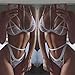 Toraway Lingerie Set Corset Lace Vest Bra Top + Thongs Set Underwear Suit