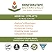 Restorative Botanicals High Strength Hemp Oil - 1250mg Chocolate Mint Flavor (2 oz - 120 Servings)