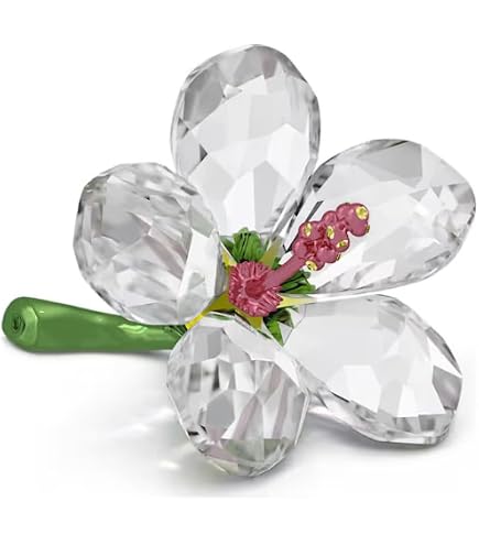 Amazon.com: SWAROVSKI Idyllia Ladybug and Clover : Home & Kitchen