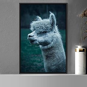 signwin Framed Canvas Wall Art Llama Animals Camels...