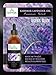 Essential Oils Gift Set - Essentials - Peppermint, Tea Tree and Lavender - Makes the Perfect Gift - Therapeutic Grade 1 fl oz bottles - Premium Select by Essential Oil Labs