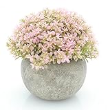 Velener Mini Plastic Artificial Pine Ball Topiary Plant with Pots for Home Decor (Pink Clover)