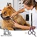 Ryans Pet Supplies Professional Dog Grooming Scissors from, Two Pairs Stainless Steel Scissor Kit, Thinning Shears for Dogs & Pets, 1X Straight Shear for Body & 1X Curved Shear for Face & Paws