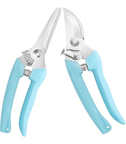Juego De 2 Tijeras De Podar Para Flores - Rosa Y Azul, Hojas De Acero Inoxidable, Ideales Para Jardinería De Precisión