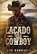 Livro Laçado pelo Cowboy