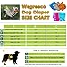 Wegreeco Washable Reusable Premium Dog Diapers, Extra Large, Bright Color, for Female Dog, Pack of 3,Small Dog Puppy & Doggy Diapers Female,Period Panties in Heat