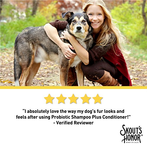 SKOUT'S HONOR Pet Shampoo and Conditioner Probiotic Shampoo Plus Conditioner 2-in-1 Honeysuckle - 16 fl. oz. - Cleans and Conditions Fur, Supports Pet’s Natural Defenses, PH-Balanced, Sulfate Free - Thumbnail 3