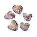 Oyster Pearl Wholesale Freshwater Cultured Pearl Inside Oyster with Necklace Oyster Pearl Bulk Love Wish Pearl for Jewelry Making with 6.5-7.5mm Round Pearls Inside (10 PCS/lot)