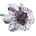 Violet Glass Daffodil Flower, One-of-a-kind. Life Size 20