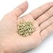 Linwood Miniature Round Head Nails Multi-Purpose for DIY Projects Decorative Pictures Jewelry Boxes Household Accessories Nail 200pcs Classic Color(0.04x0.23inch)(1×6mm, Gold)