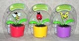Solar Powered Dancing BUGS (Set of 3) - Bee, Ladybug & Butterfly